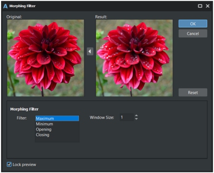 filters-morphing